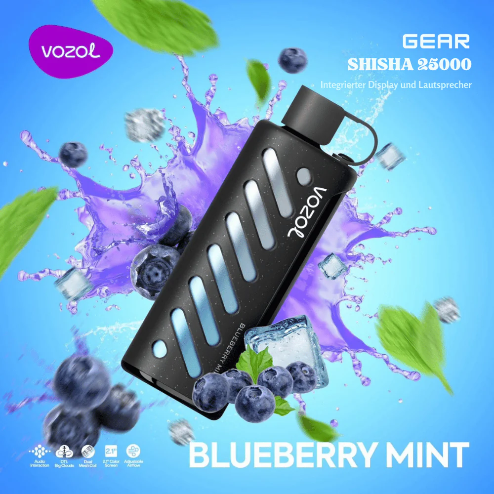 VOZOL 25.000 - Blueberry Mint